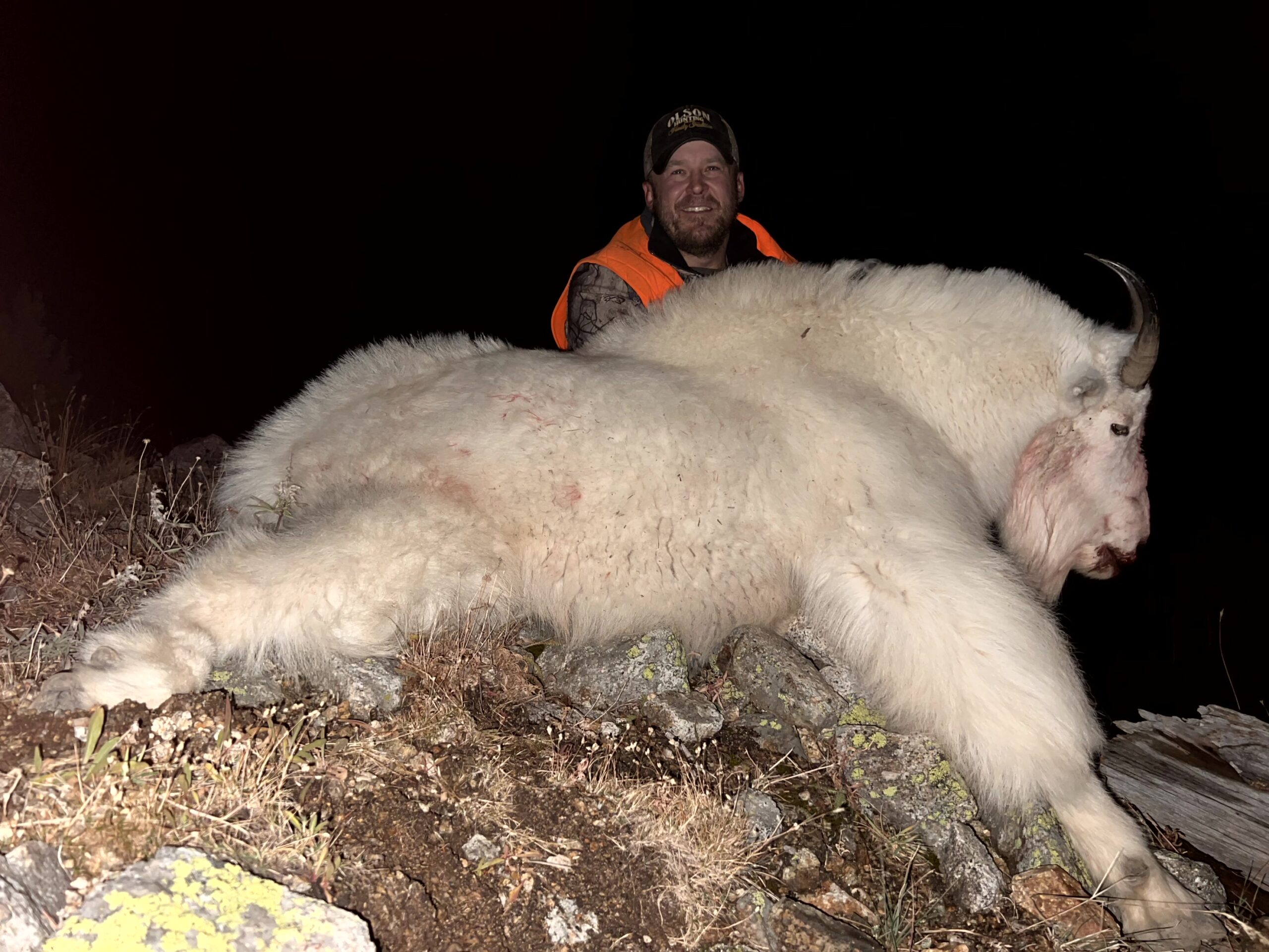 Mountain Goat Hunt 2025