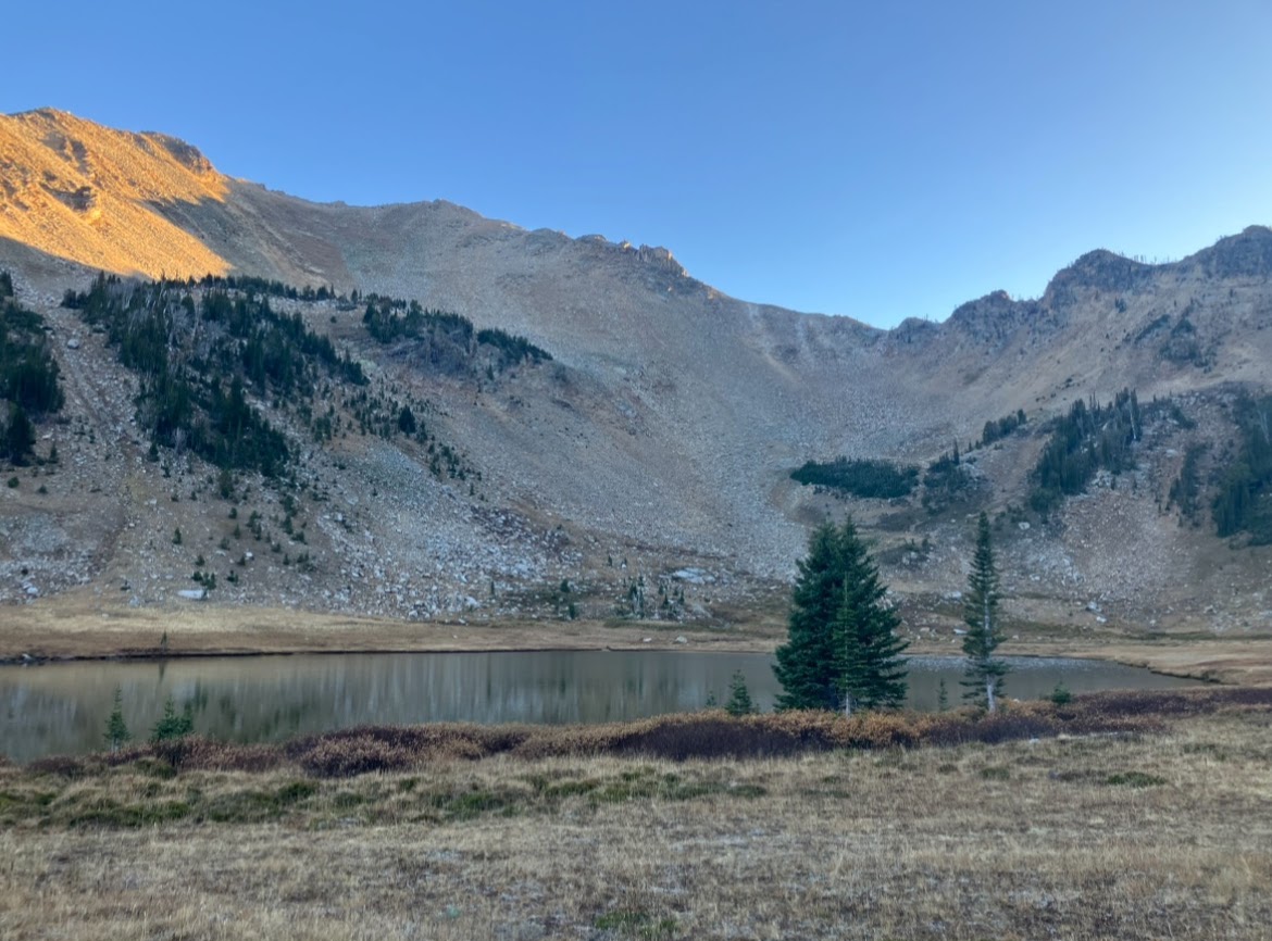 Mountain Goat Hunt 2025