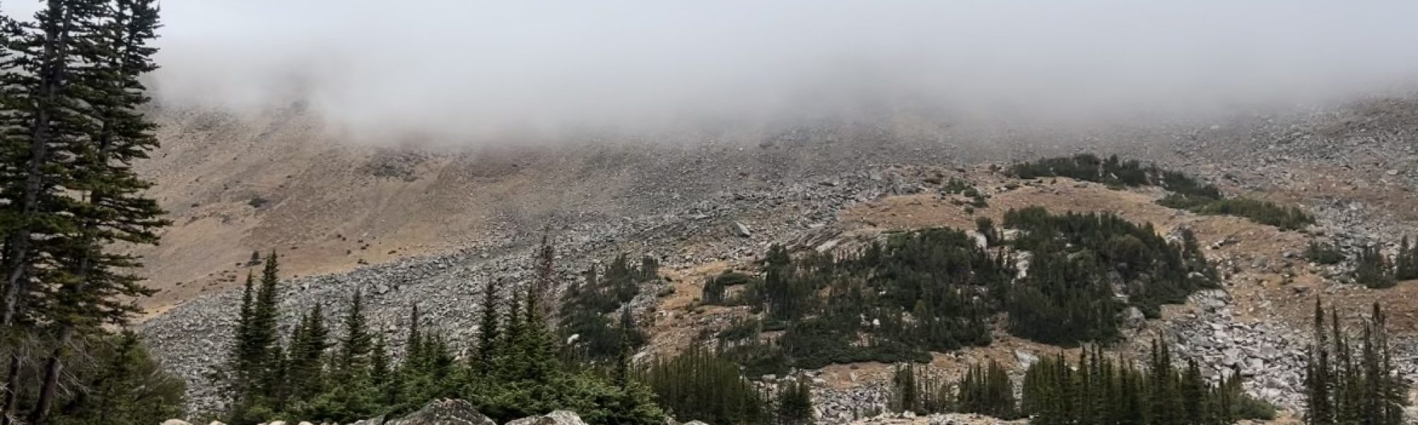 Mountain Goat Hunt 2025